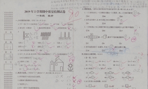期中质量测试卷