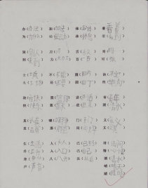 专项复习 形近字同音字组词