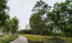 当我不再跟孩子说正确的废话，对抗消失了，学习自驱力也上来了 ...