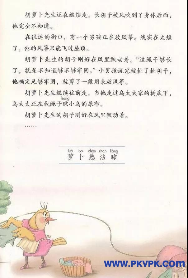 51.jpg