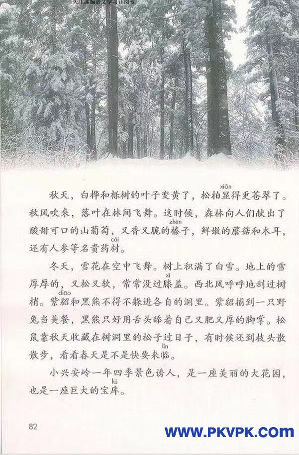 82.jpg