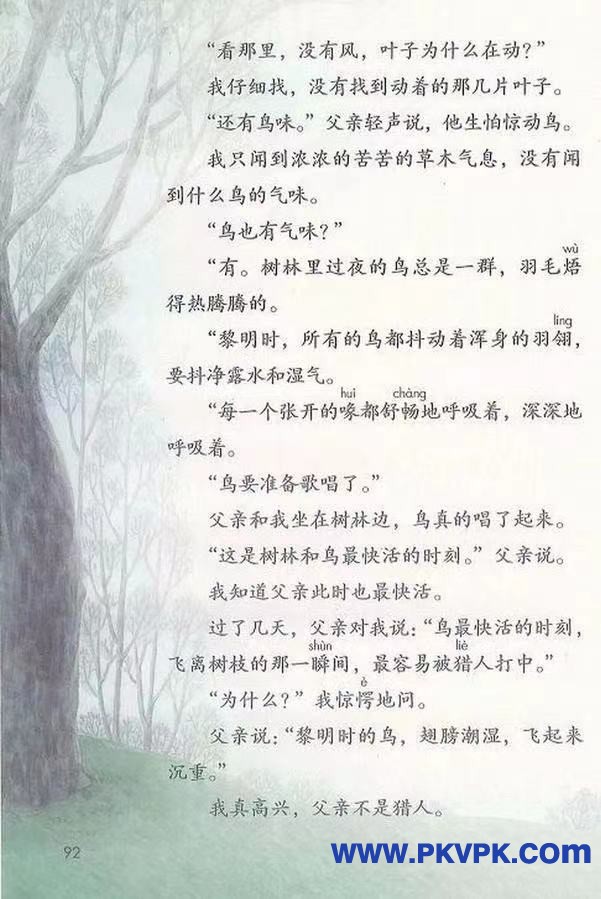 92.jpg