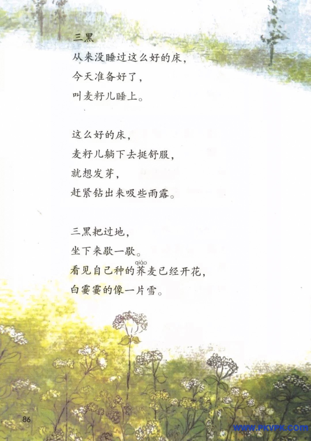 85.jpg