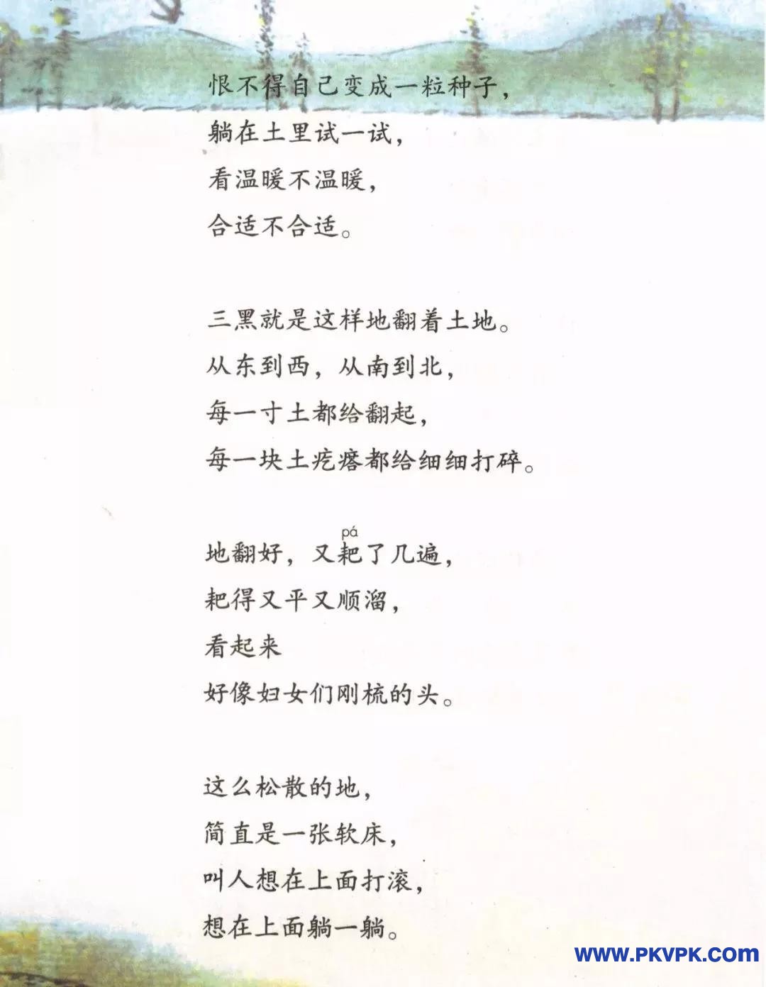 84.jpg