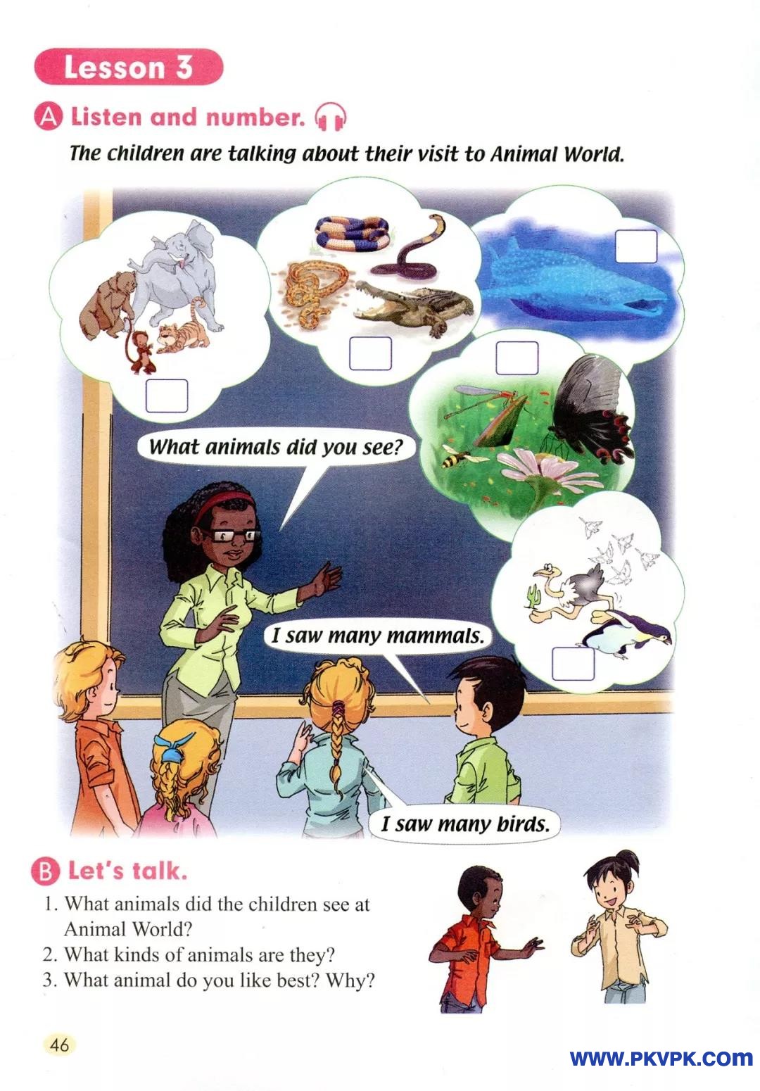 46.jpg