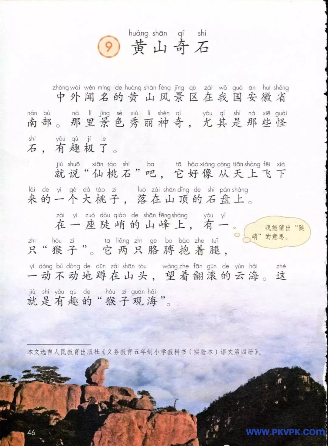46.jpg
