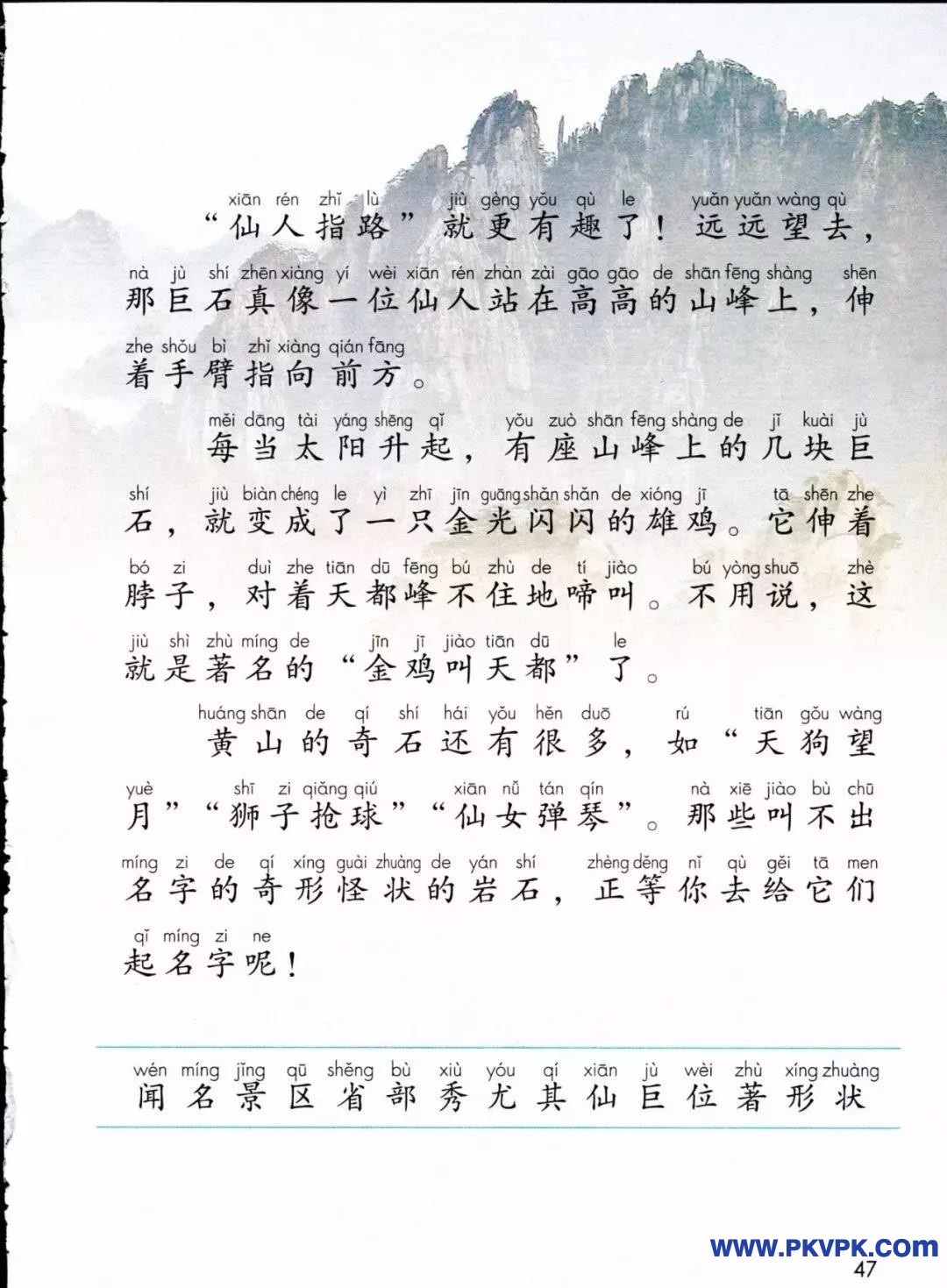 47.jpg