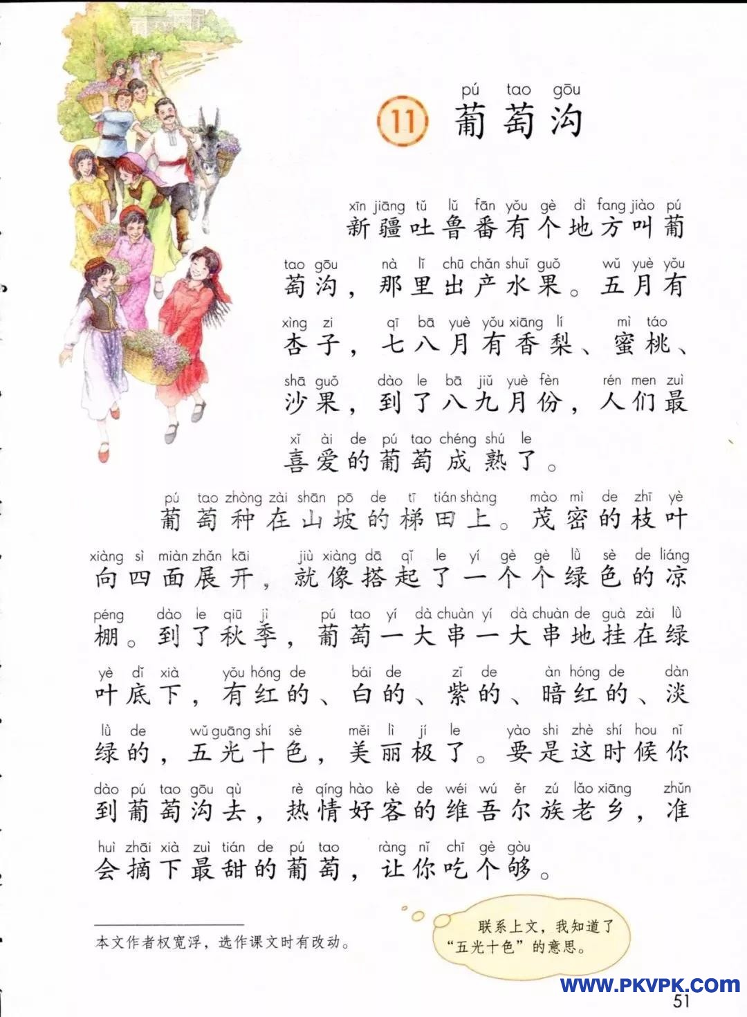51.jpg
