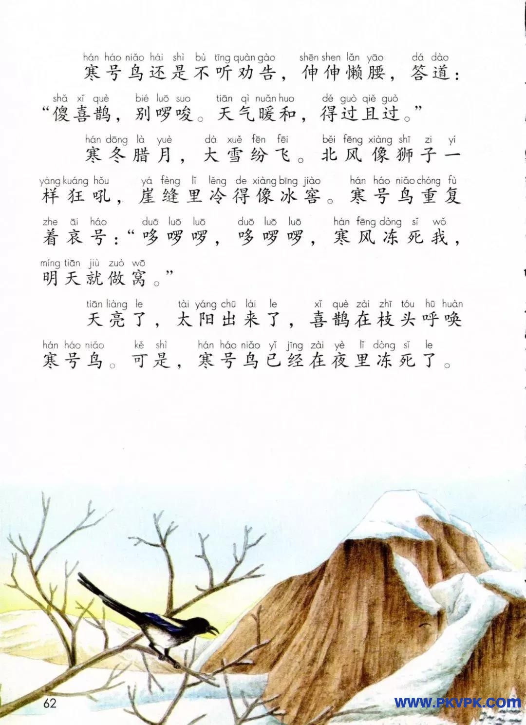 62.jpg