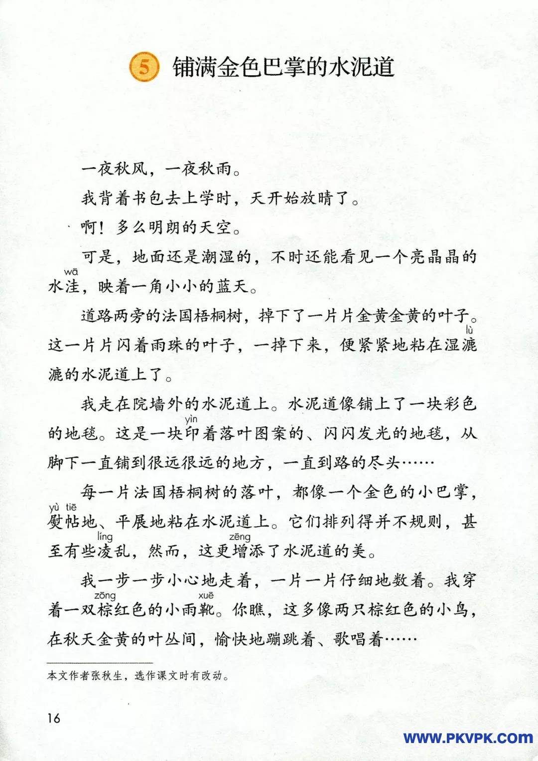16.jpg