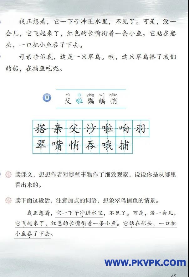 65.jpg