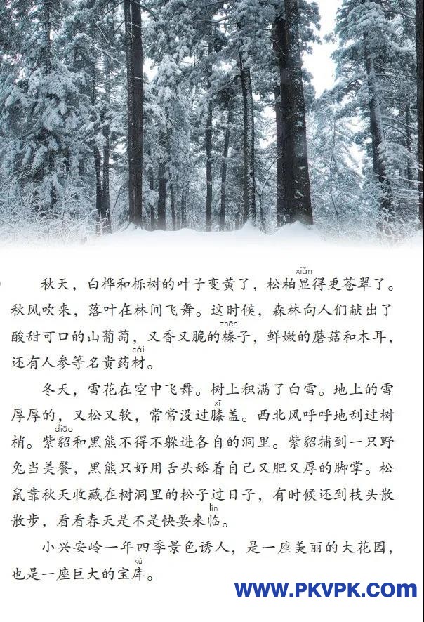82.jpg