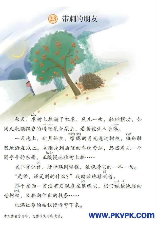 94.jpg