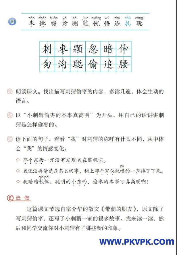 96.jpg