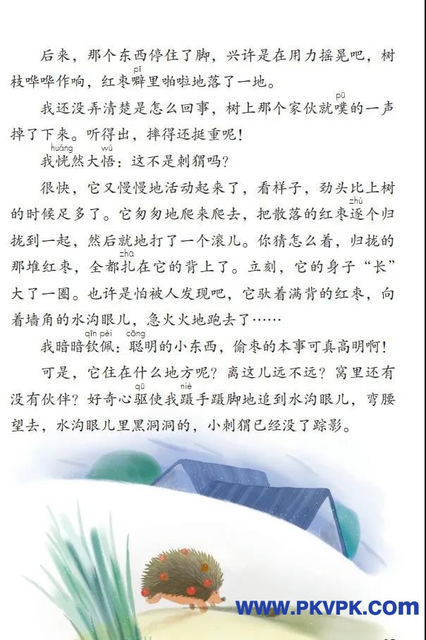 95.jpg
