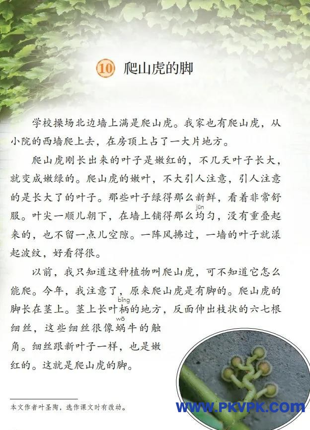 36.jpg
