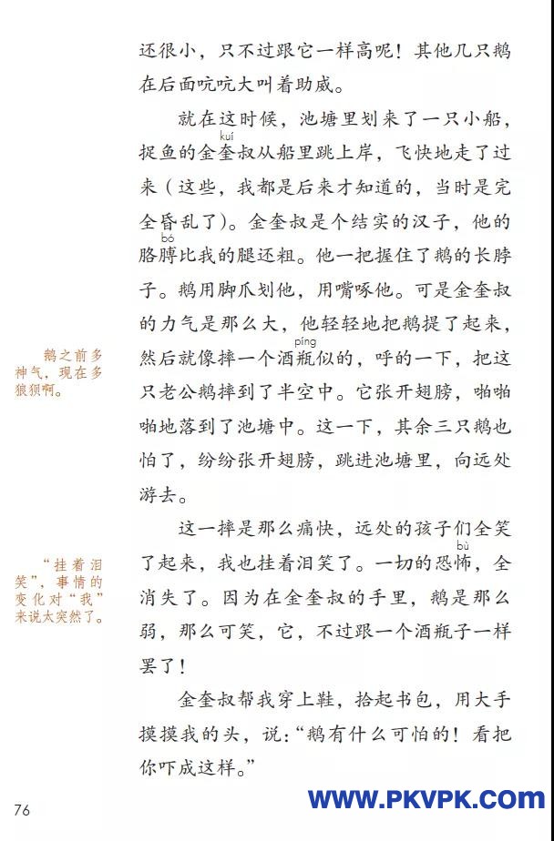 76.jpg