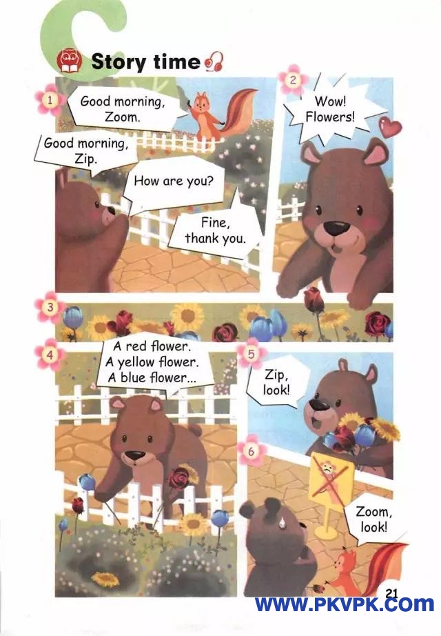 21.jpg