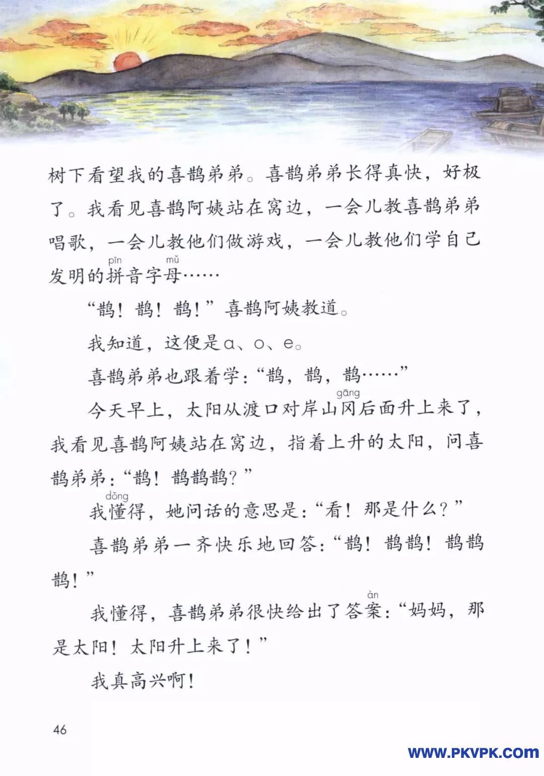 46.jpg