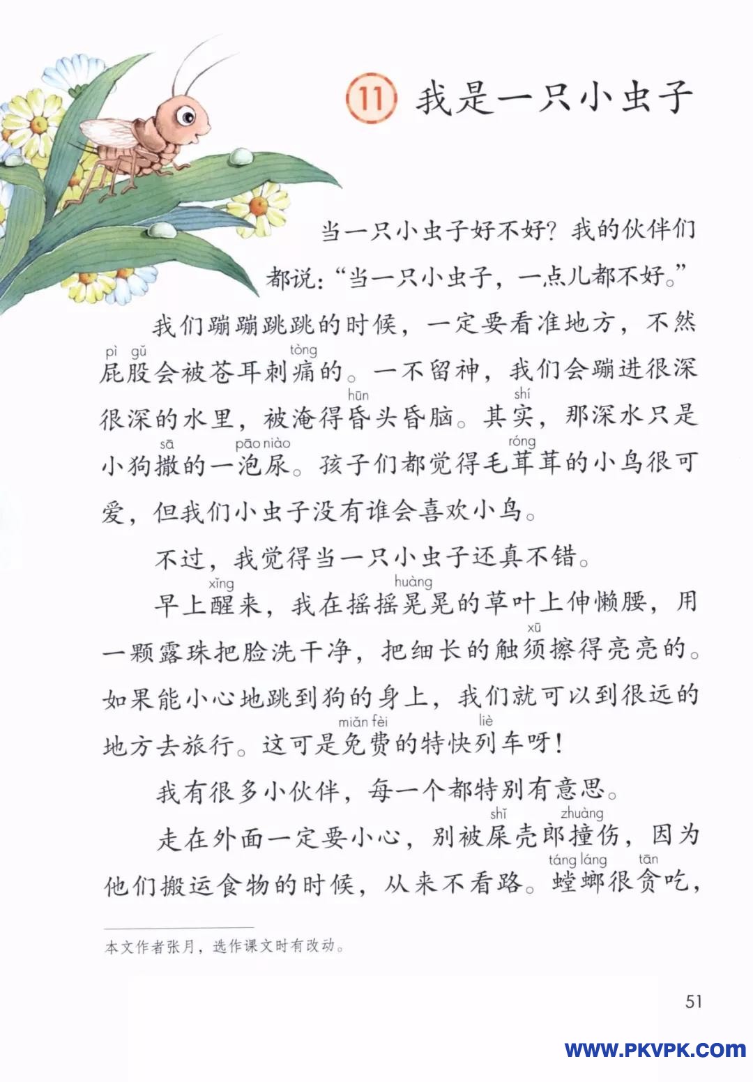 51.jpg