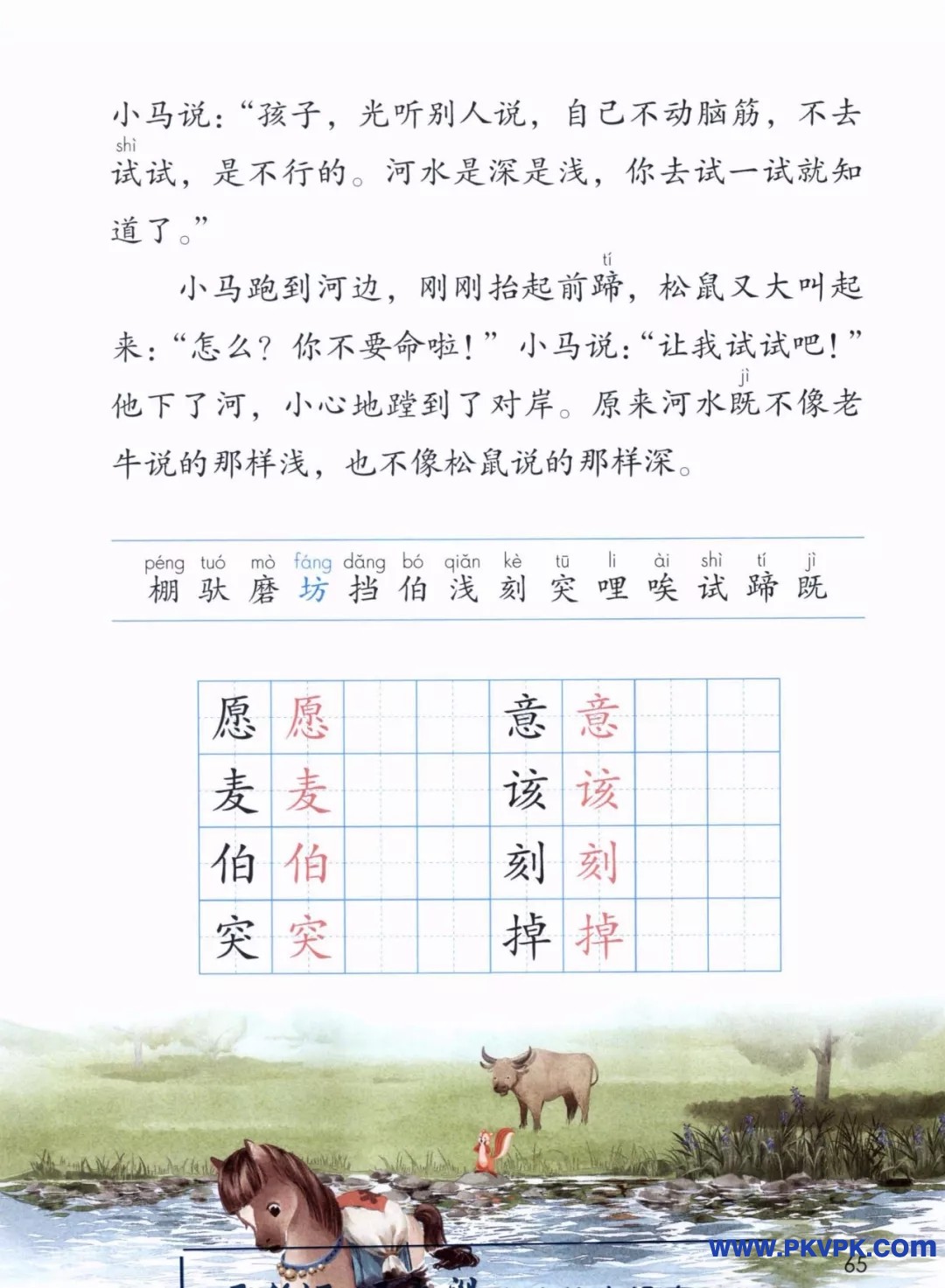 65.jpg