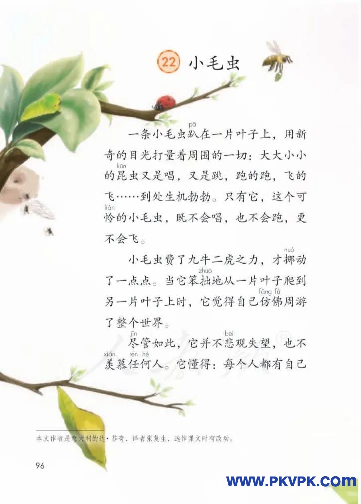 96.jpg