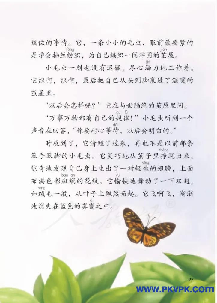 97.jpg