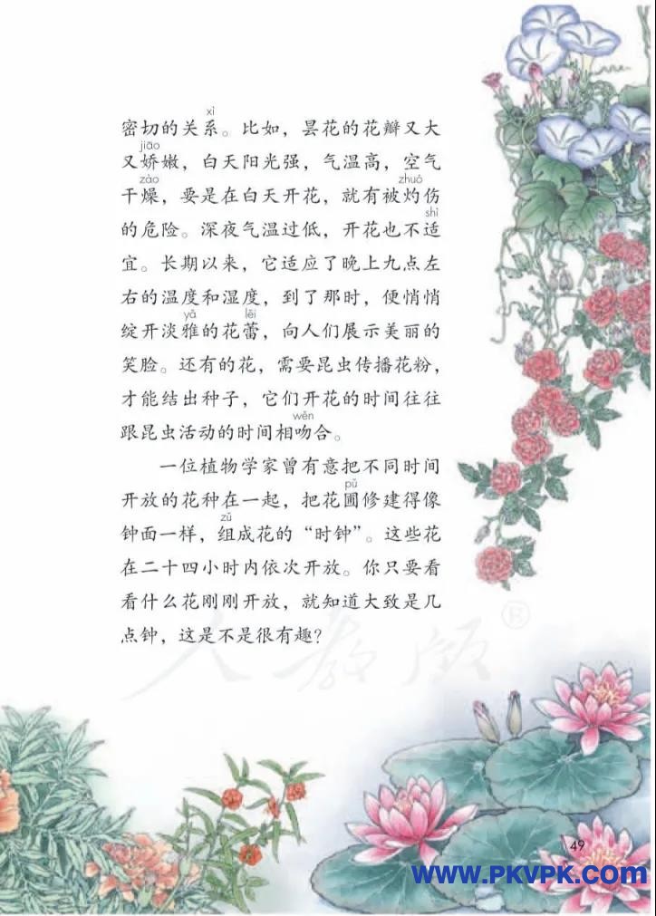 49.jpg