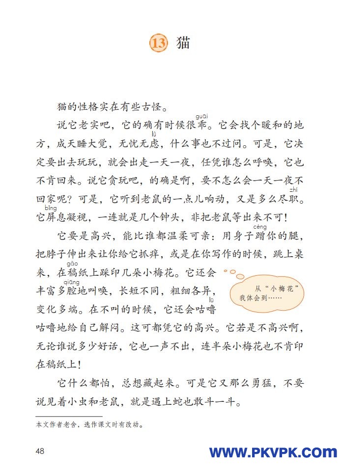 48.jpg