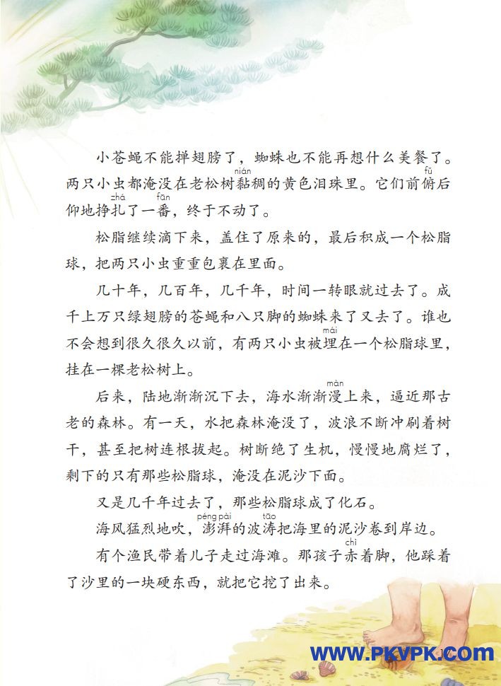 17.jpg