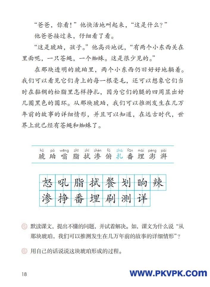 18.jpg