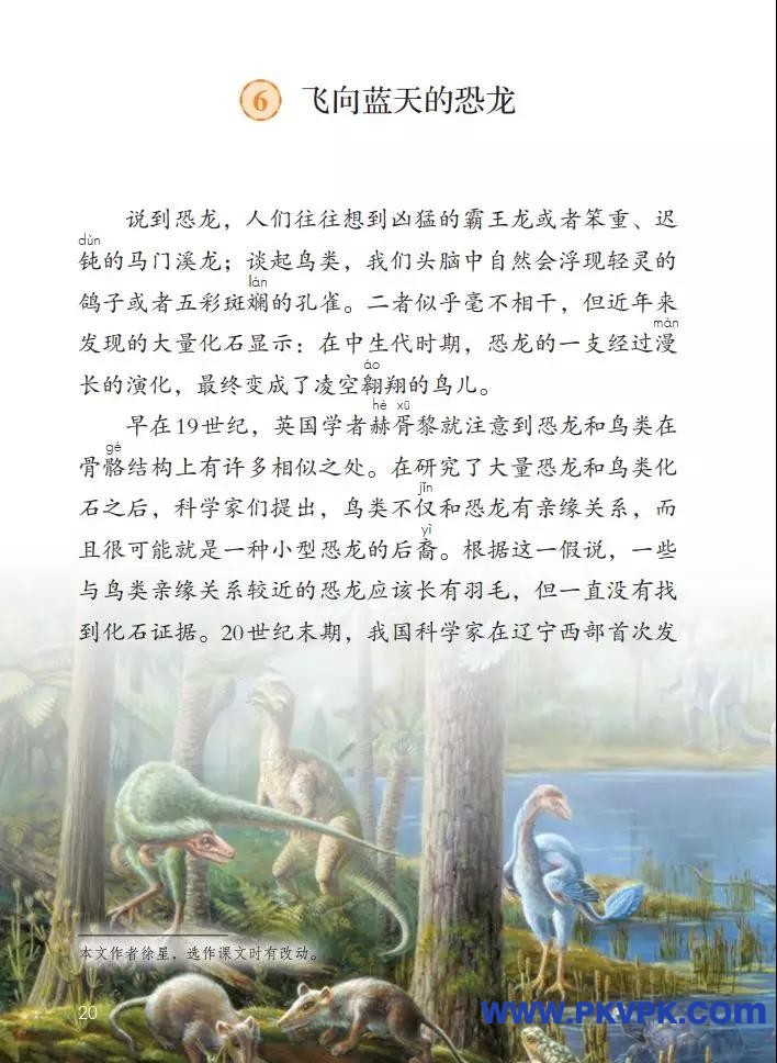 20.jpg