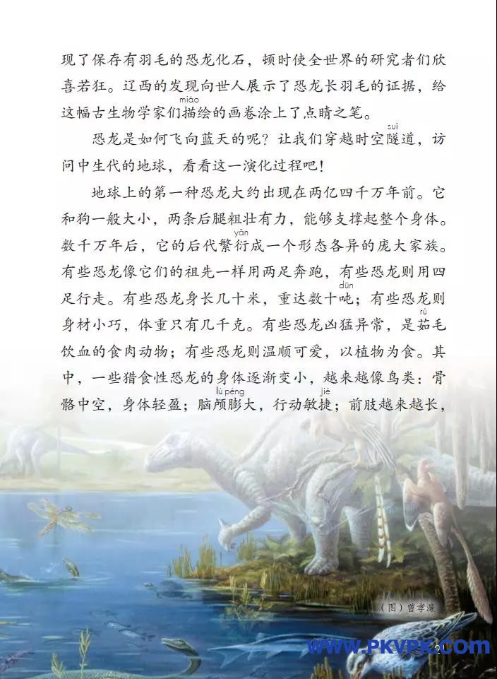 21.jpg