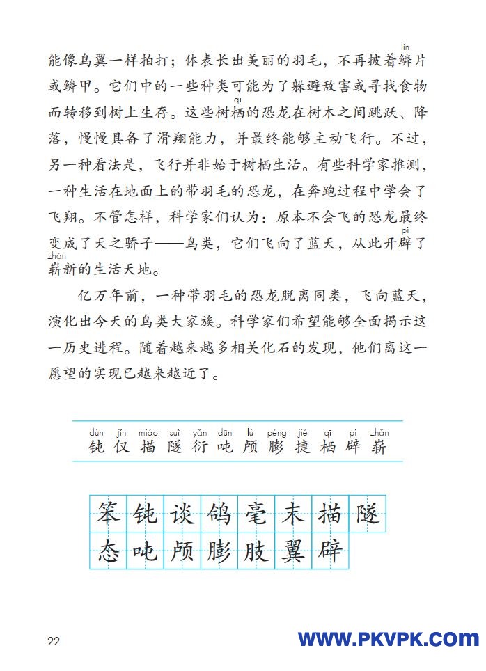 22.jpg