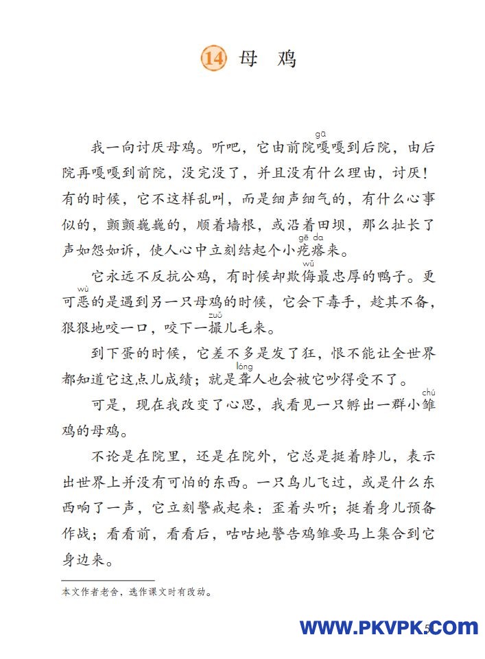 51.jpg