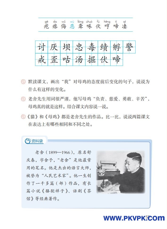 53.jpg