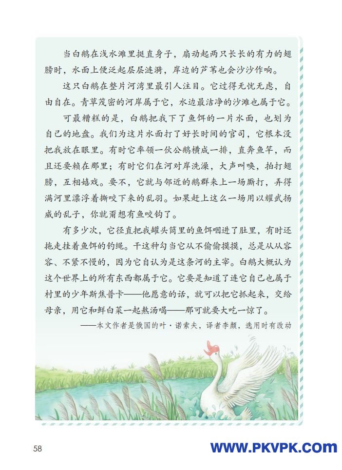 58.jpg