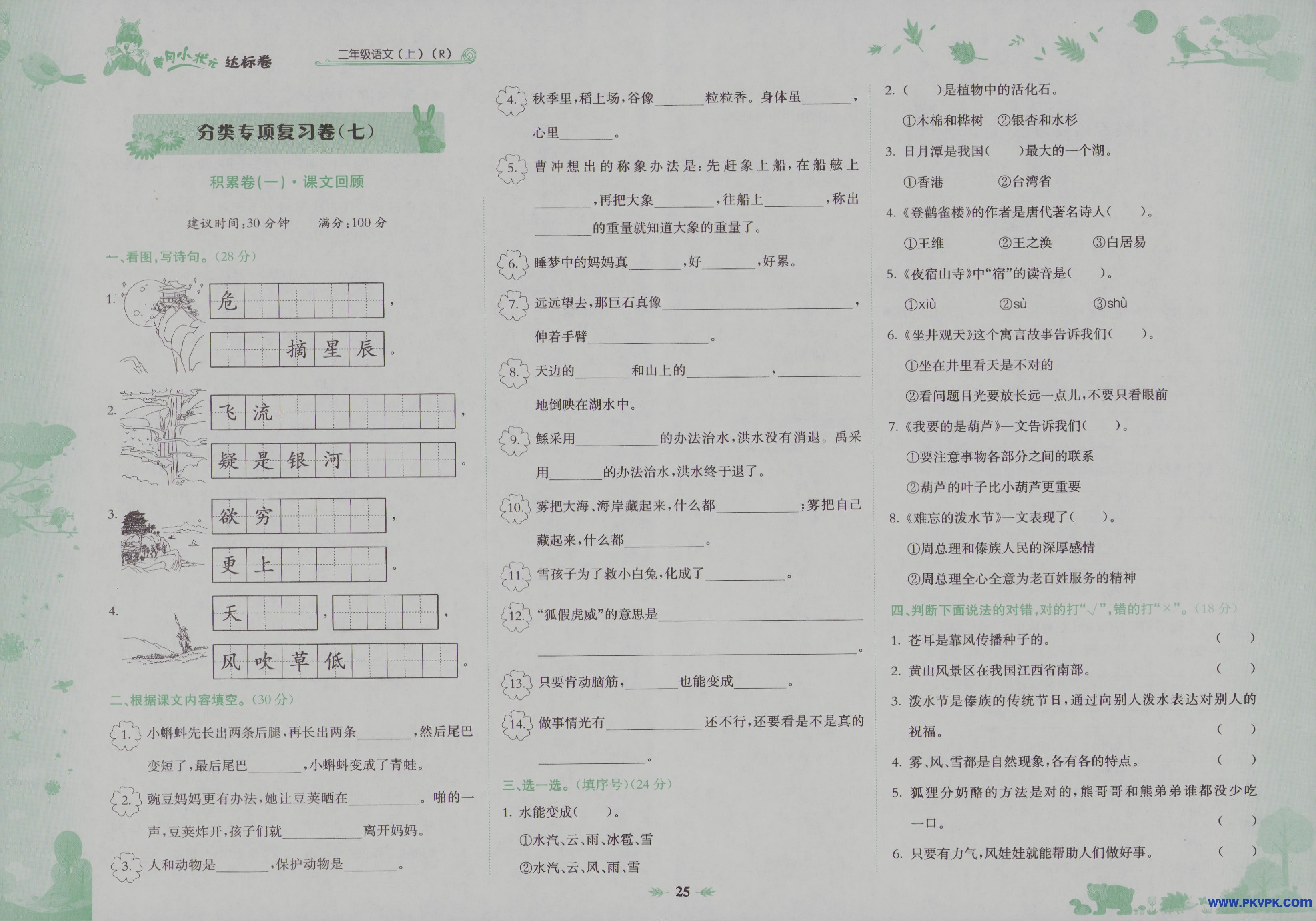 Scan Image_29.jpg