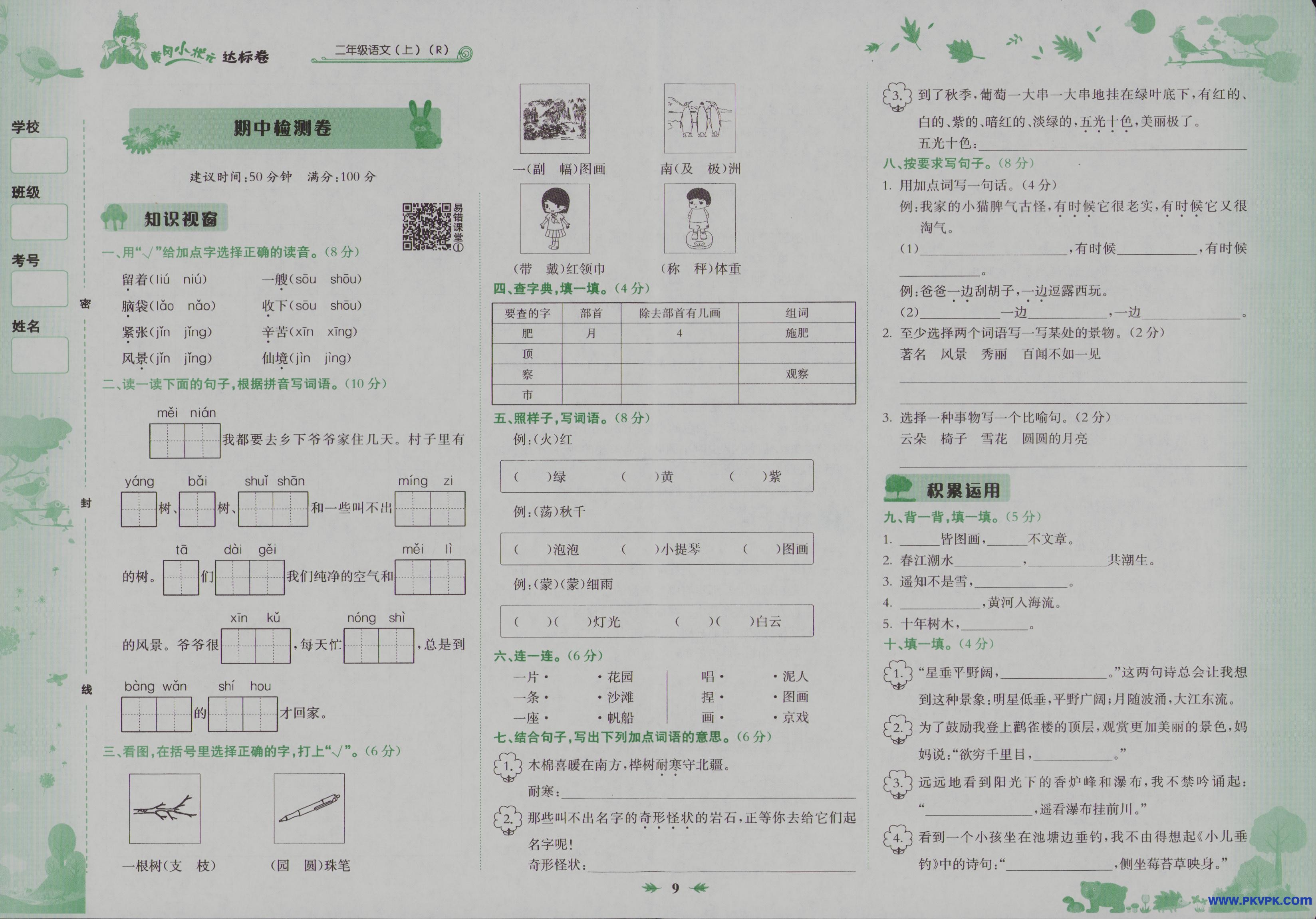 Scan Image_38.jpg