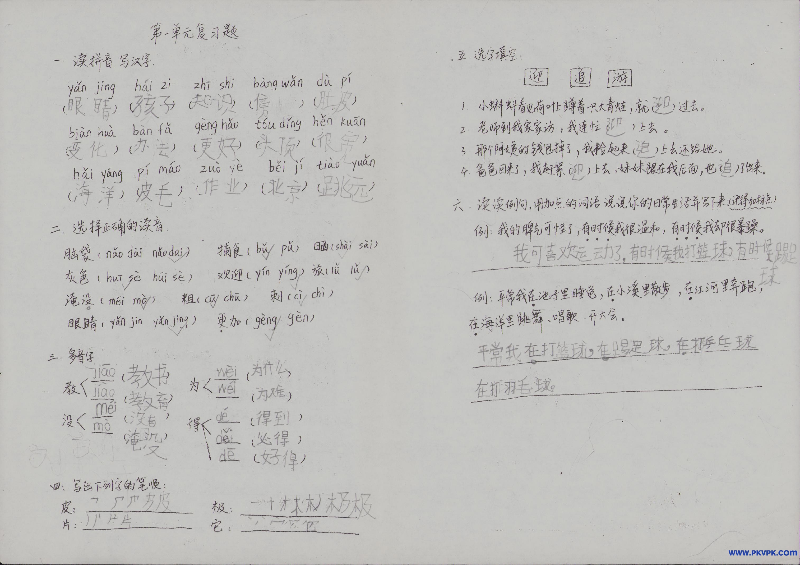 Scan Image_61.jpg