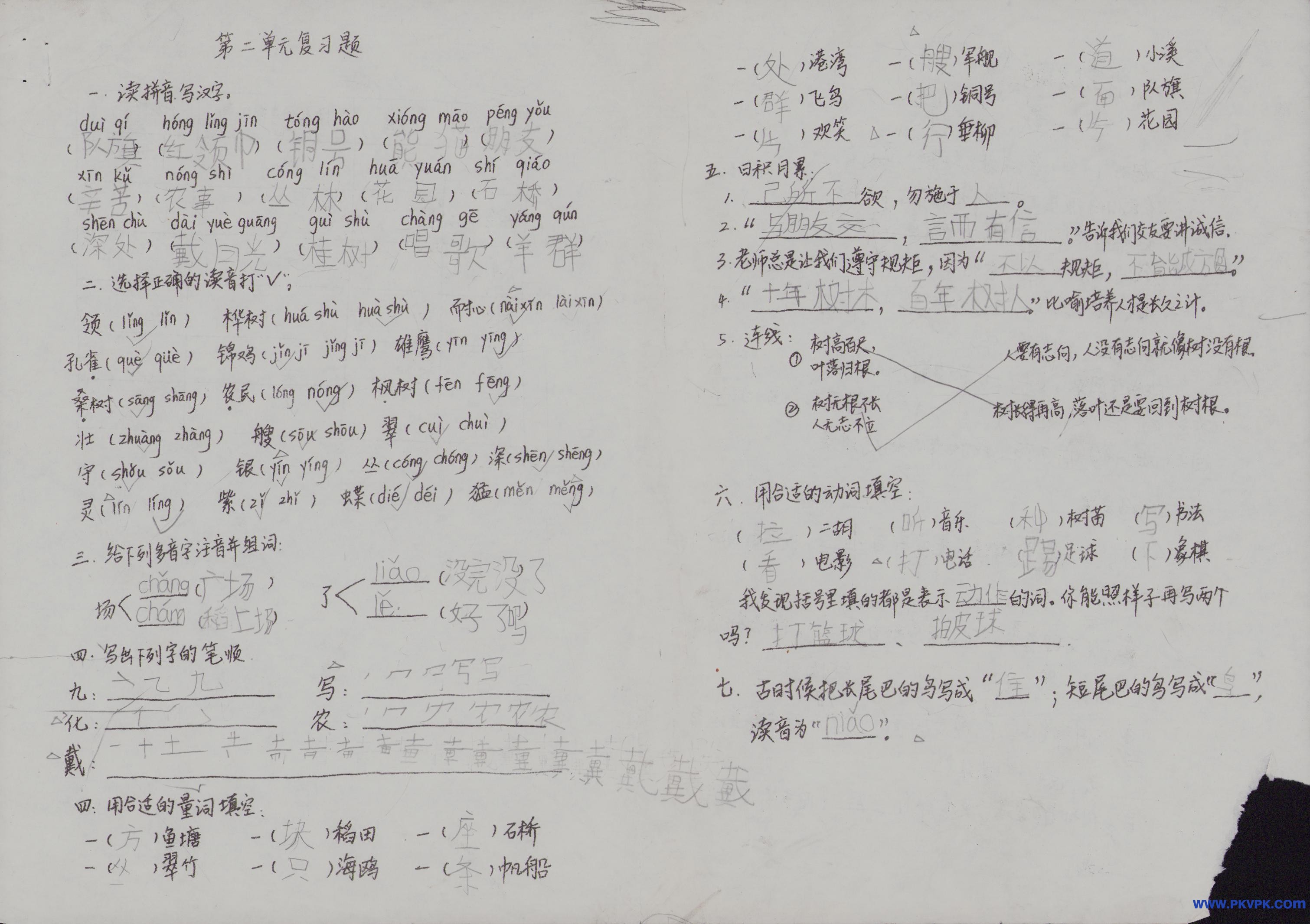 Scan Image_65.jpg