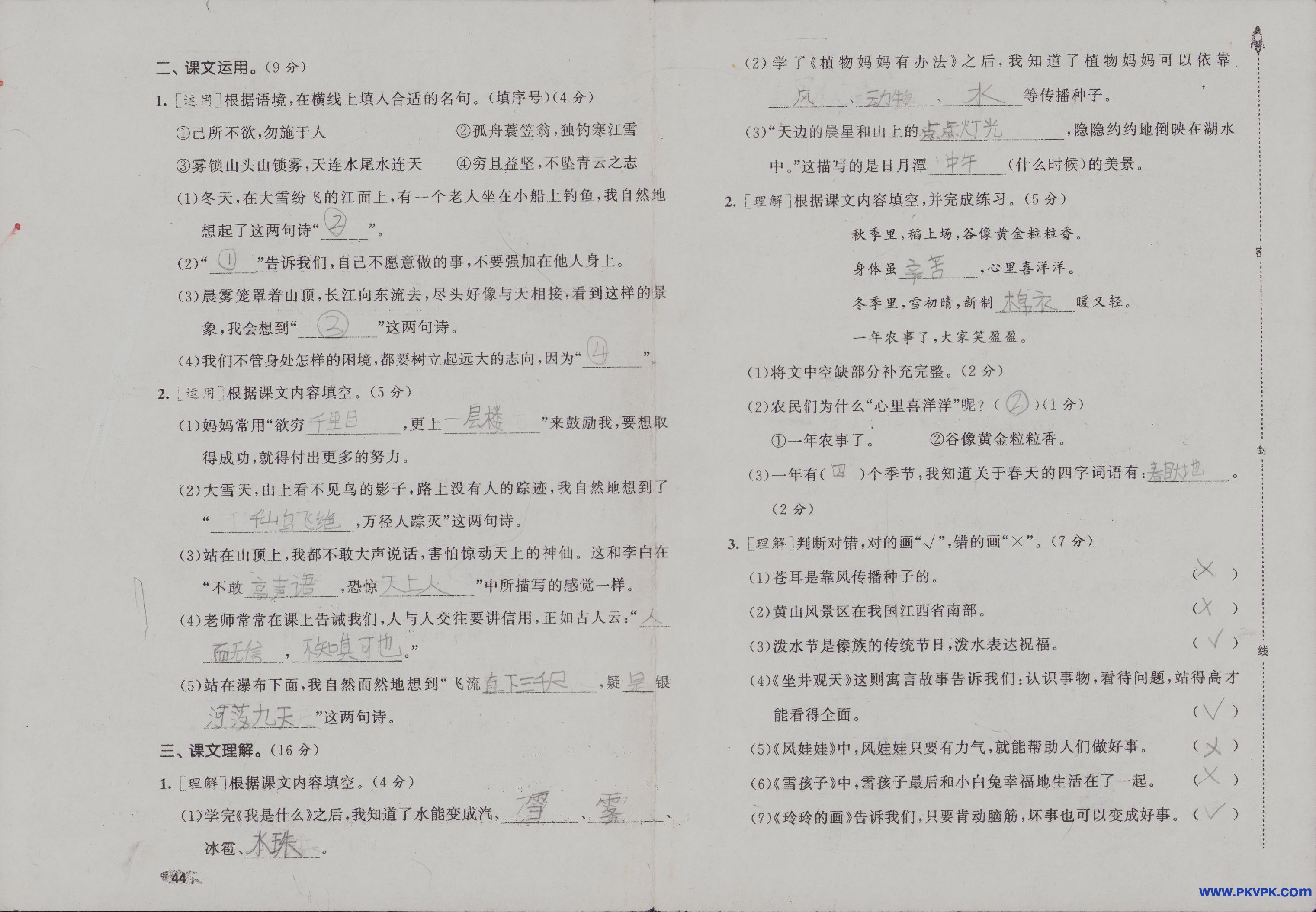 Scan Image_74.jpg