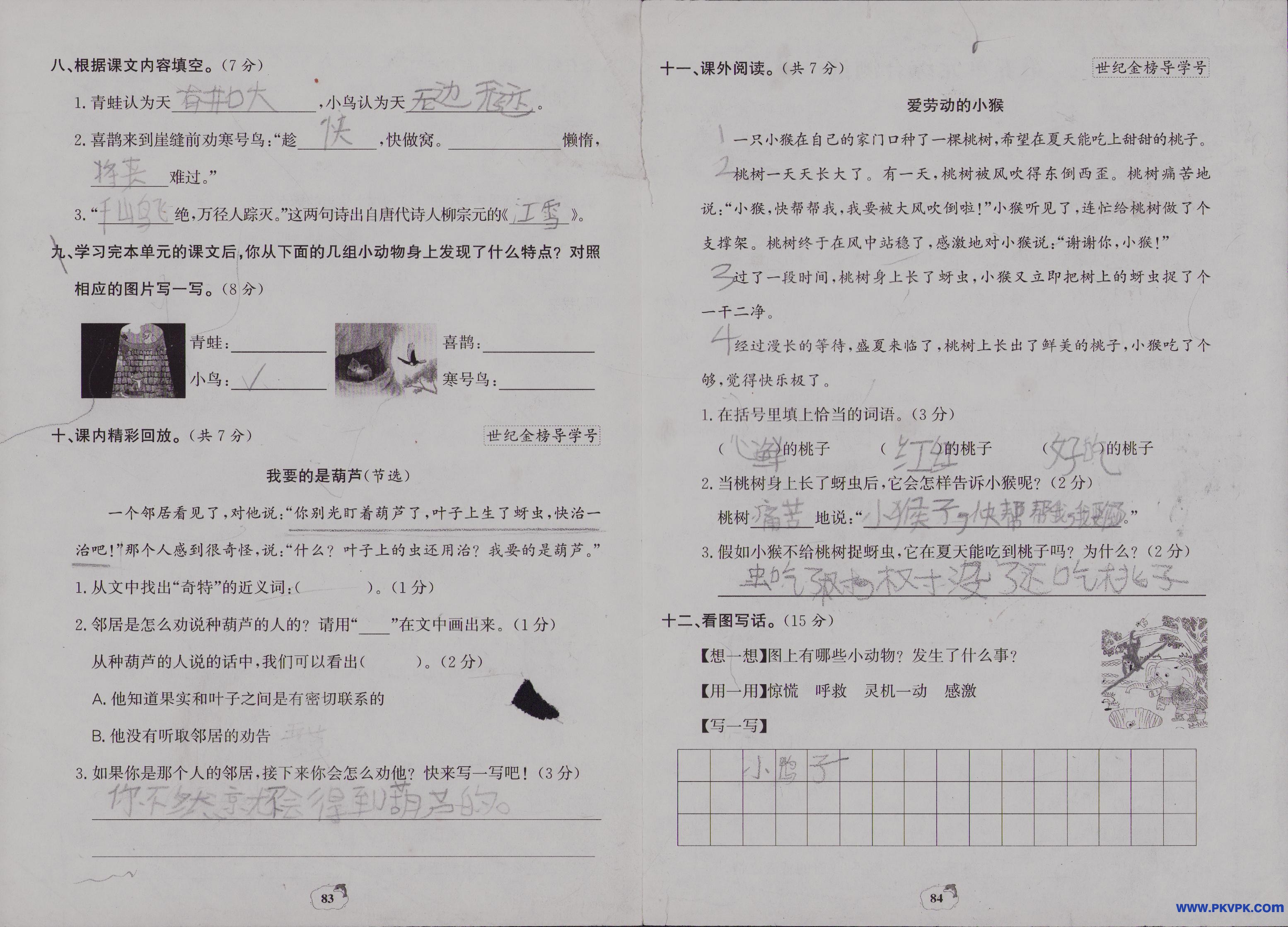 Scan Image_76.jpg