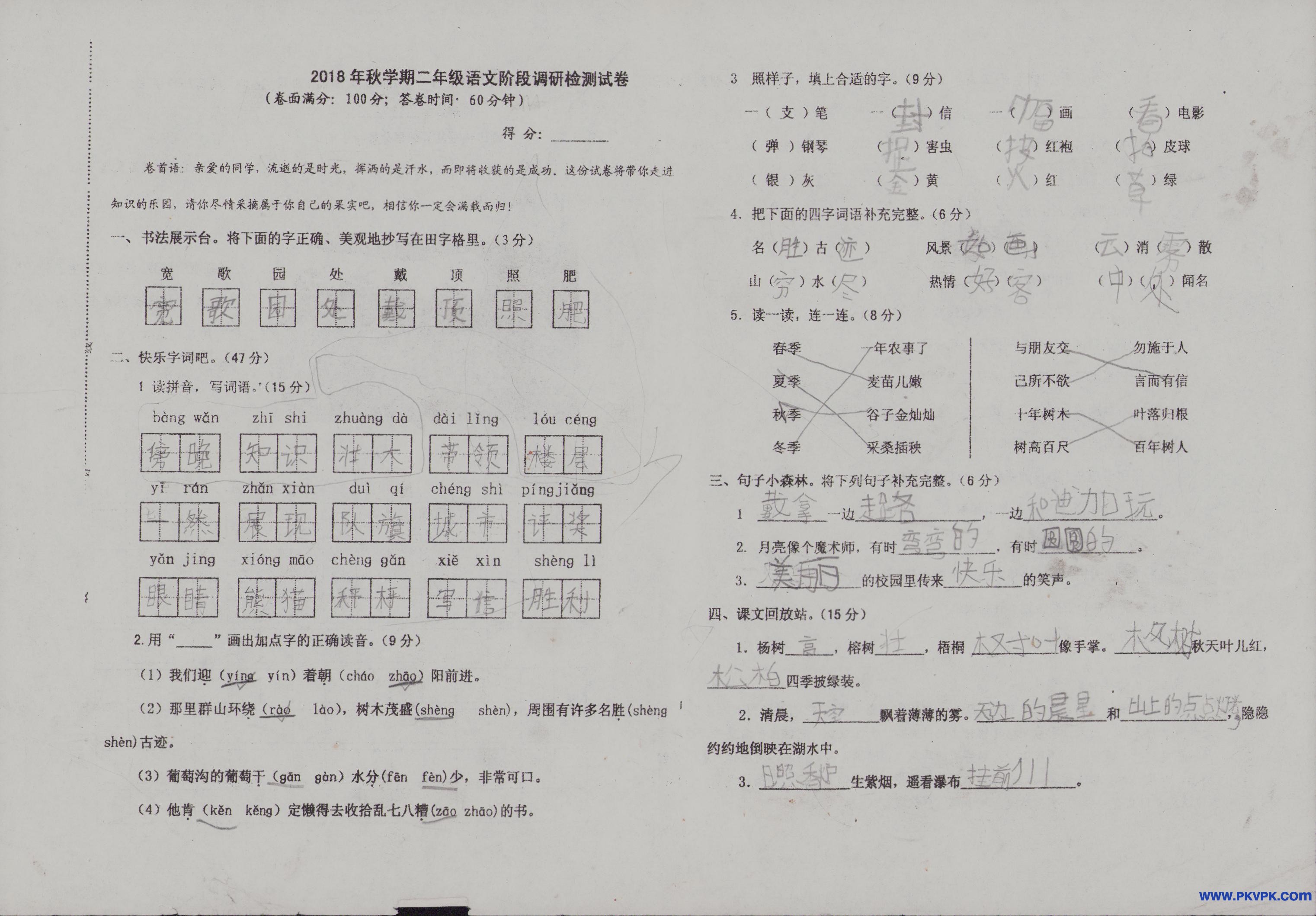 Scan Image_79.jpg