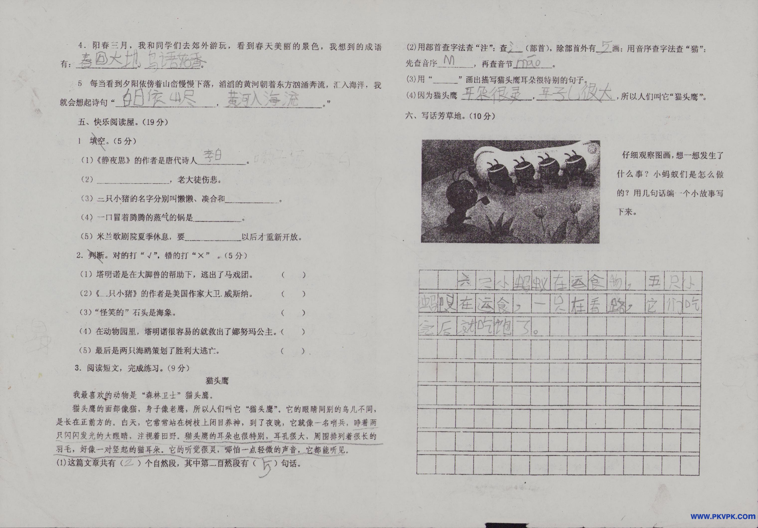 Scan Image_80.jpg