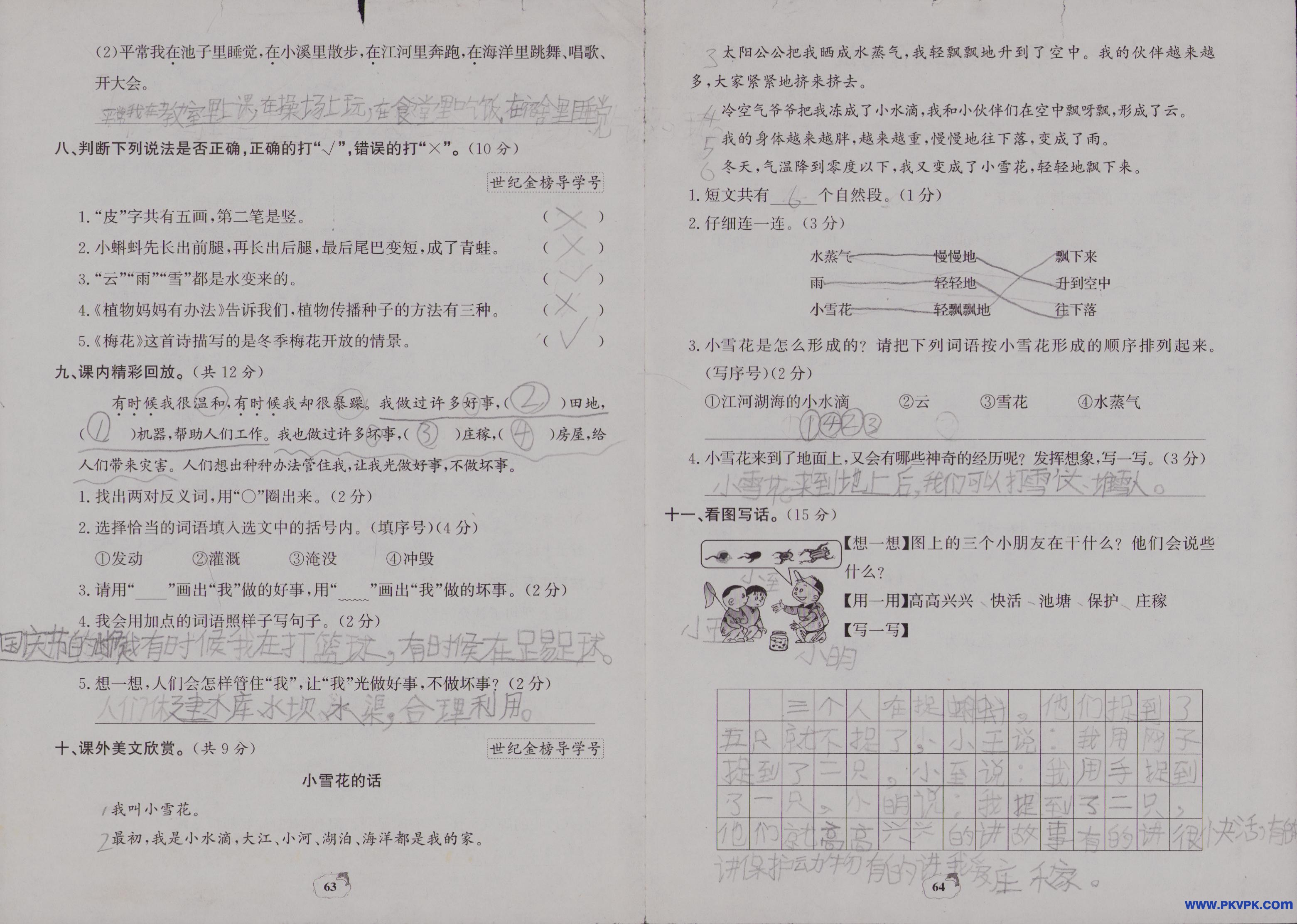 Scan Image_88.jpg