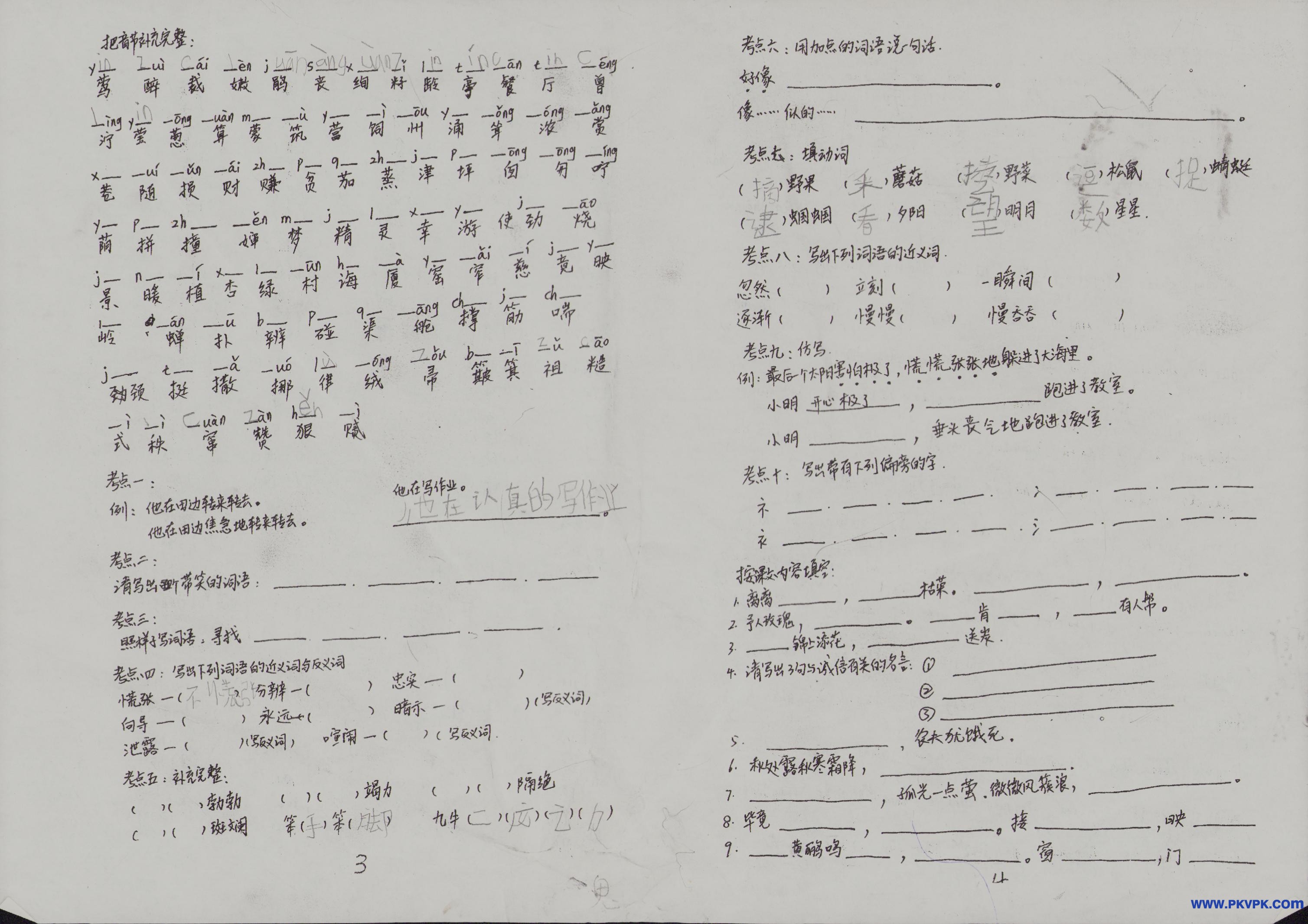 Scan Image_134.jpg