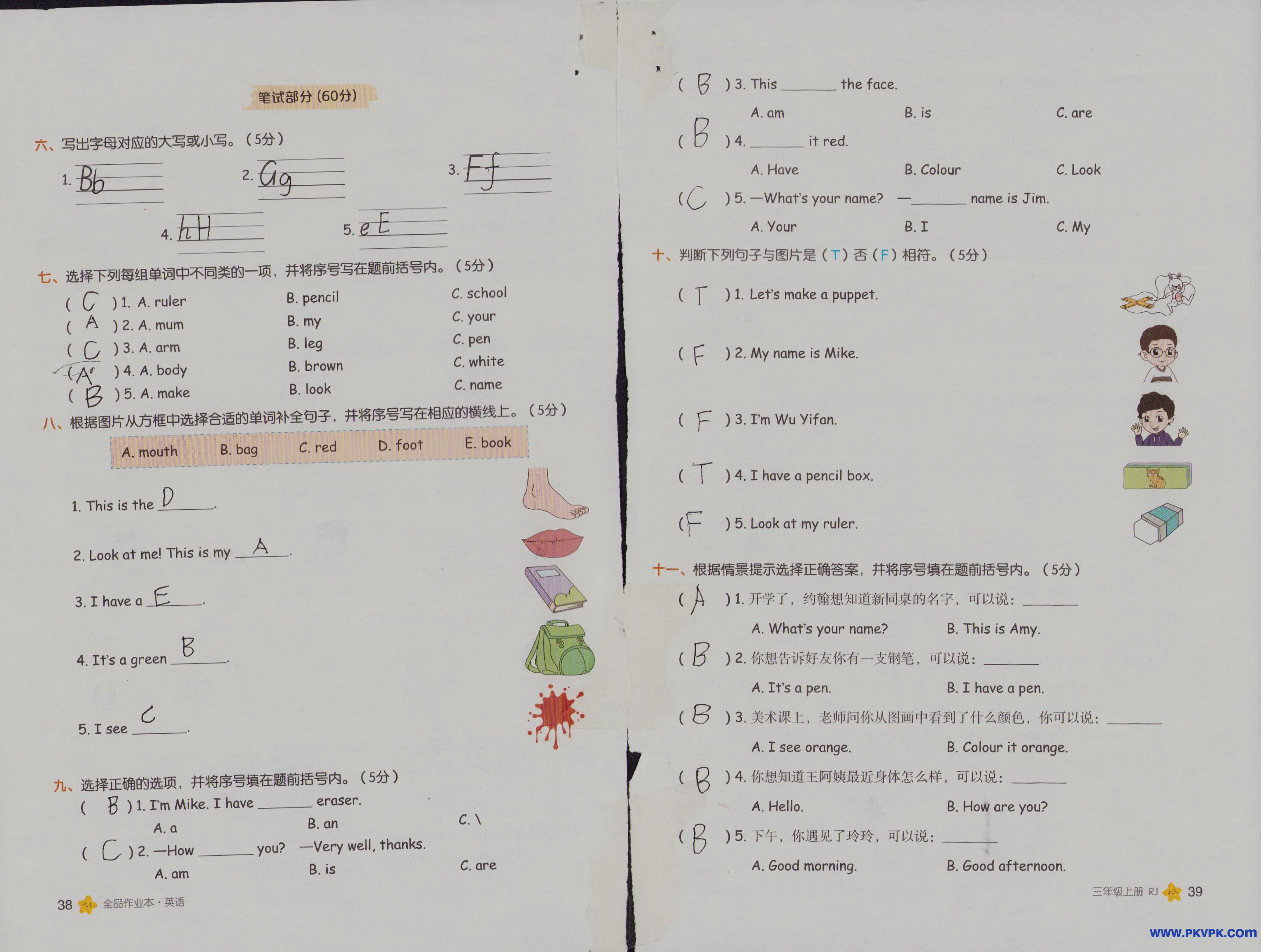 Scan Image_145.jpg