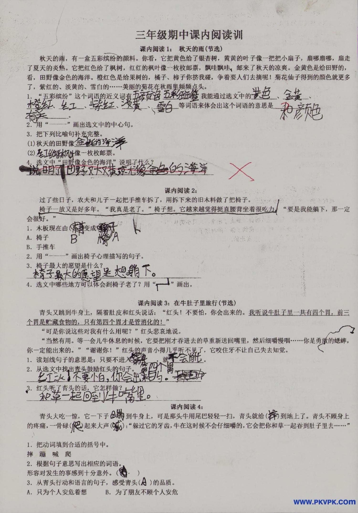 Scan Image_226.jpg