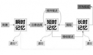 掌握这两种记忆模式，记忆力不好的你，学习从此更有效能